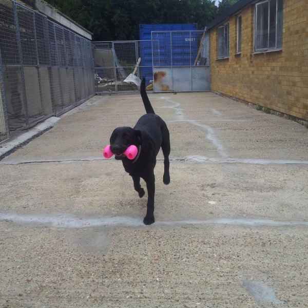 We make all our guests feel at home