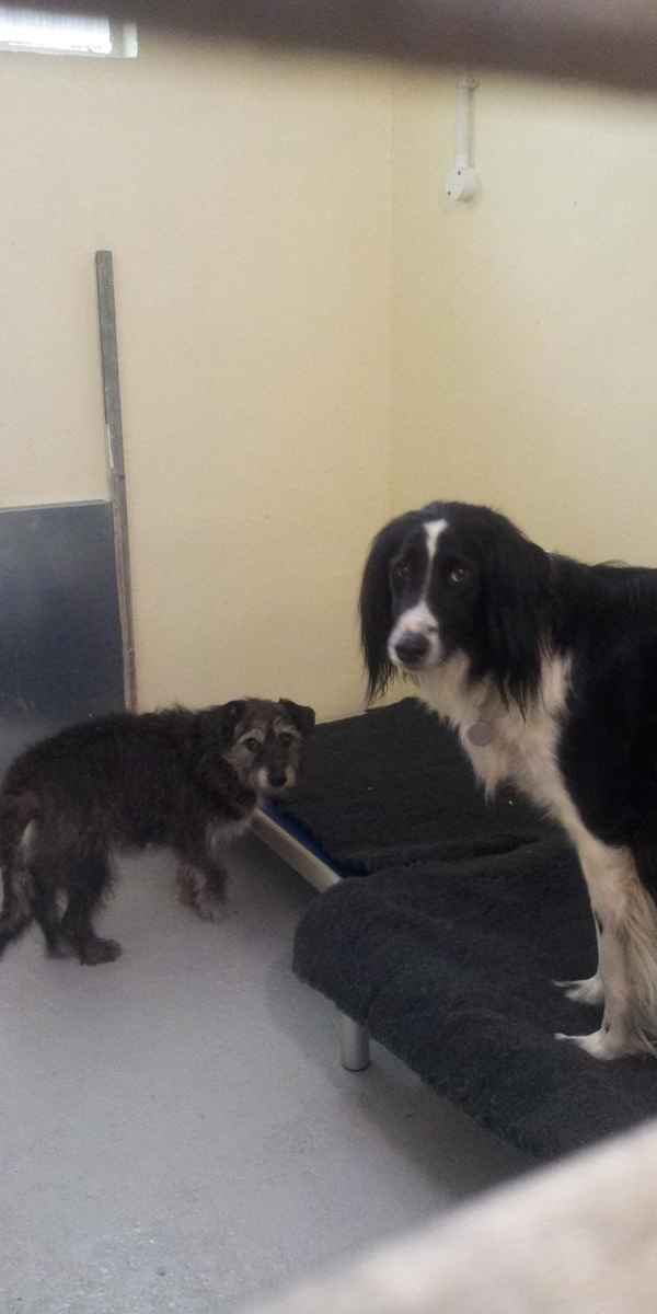 We make all our guests feel at home