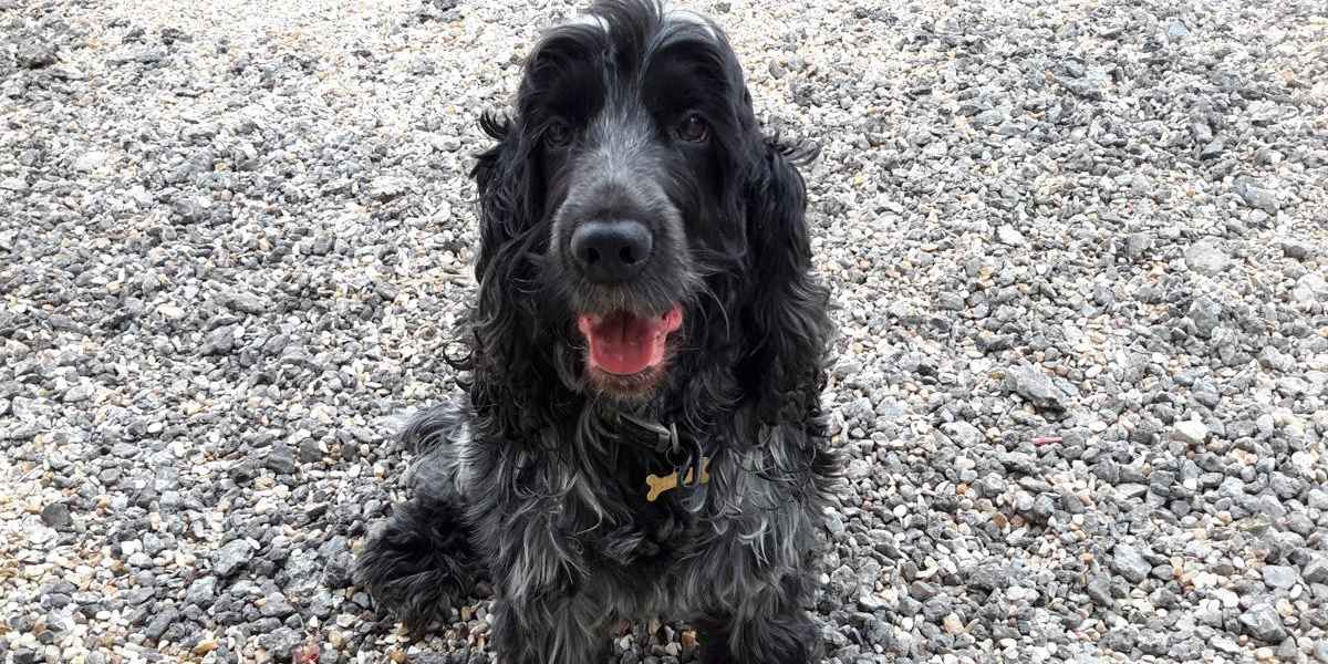 We make all our guests feel at home