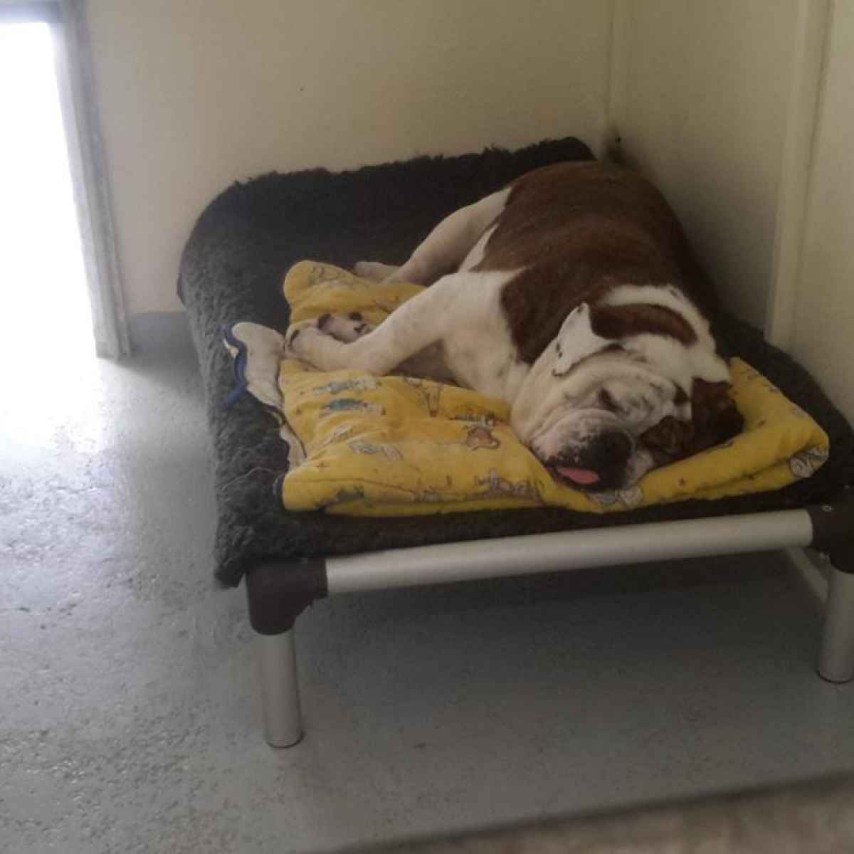 We make all our guests feel at home