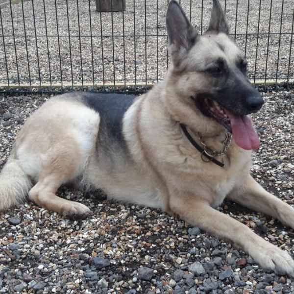 We make all our guests feel at home