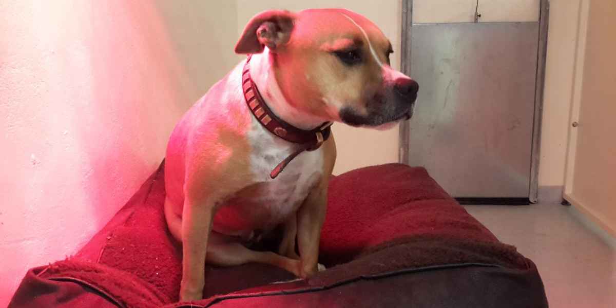 We make all our guests feel at home