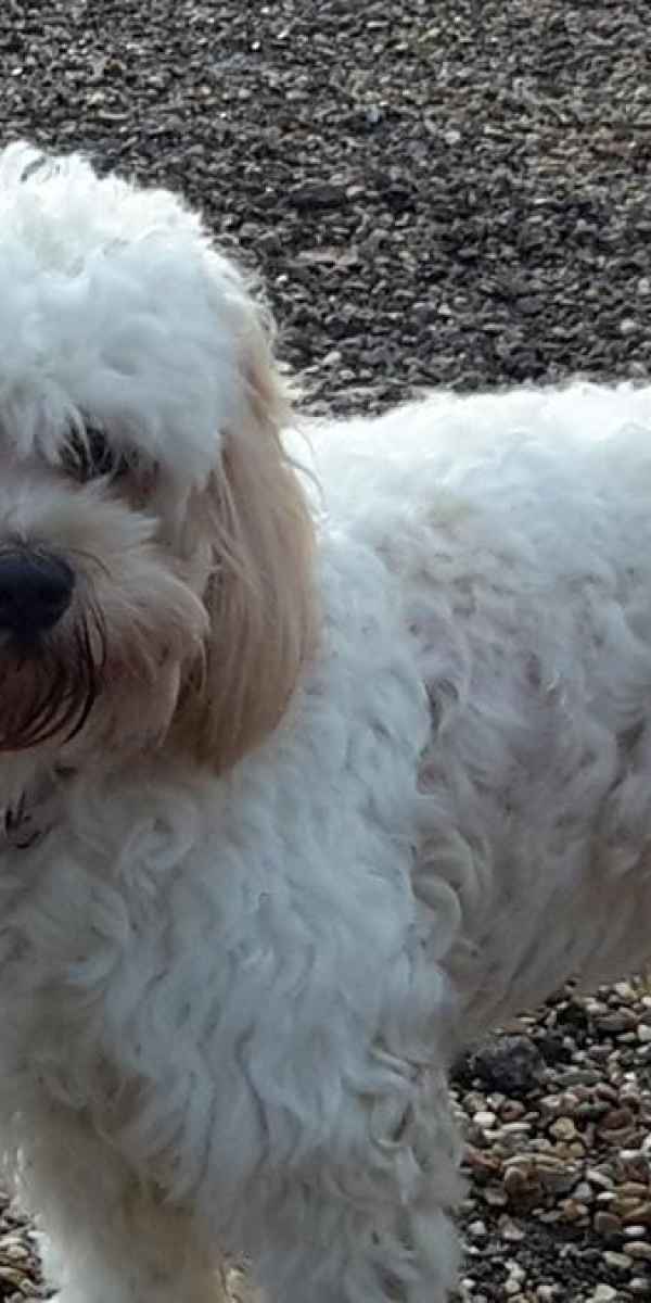 We make all our guests feel at home