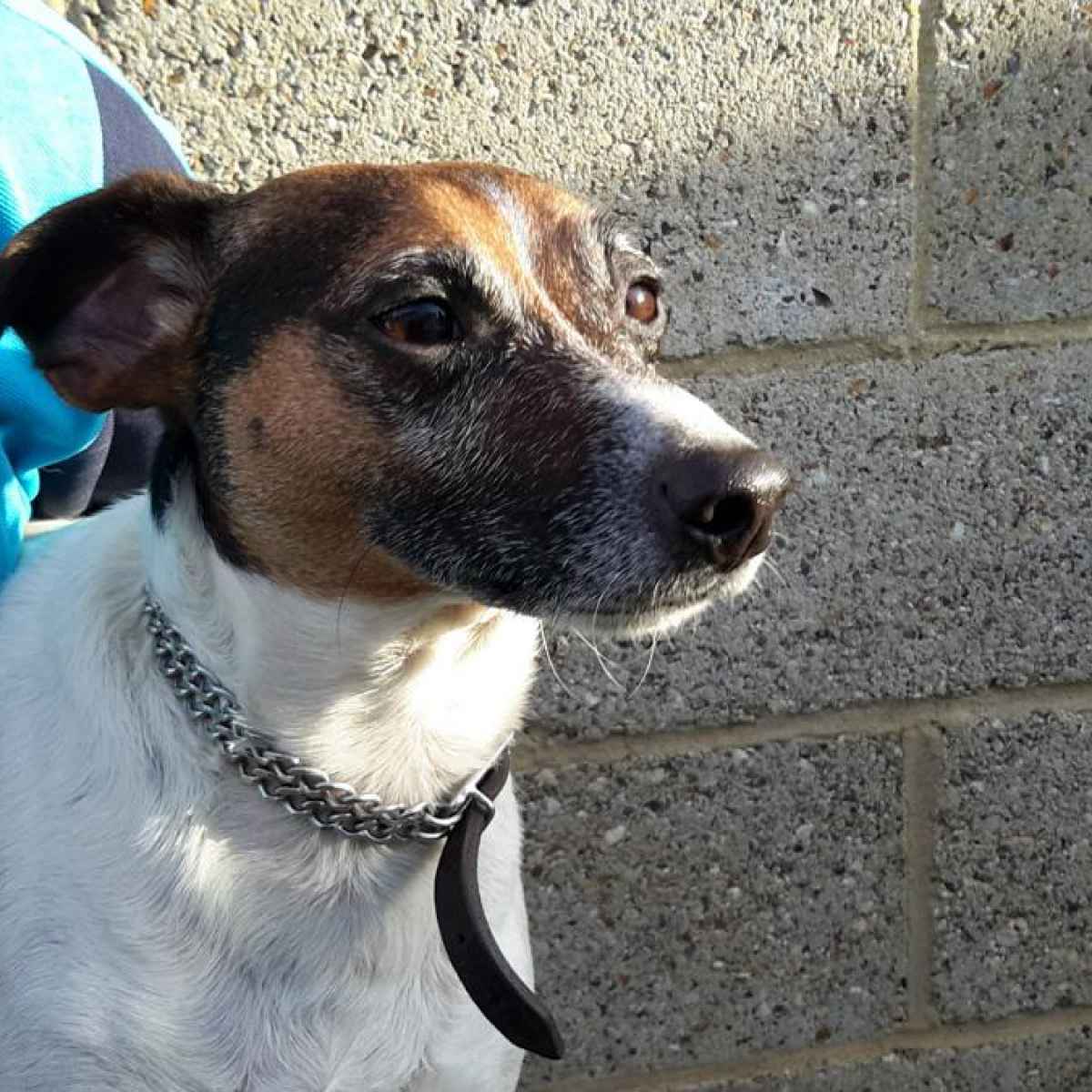 We make all our guests feel at home