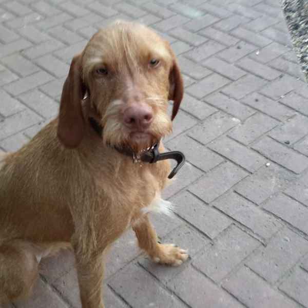 We make all our guests feel at home