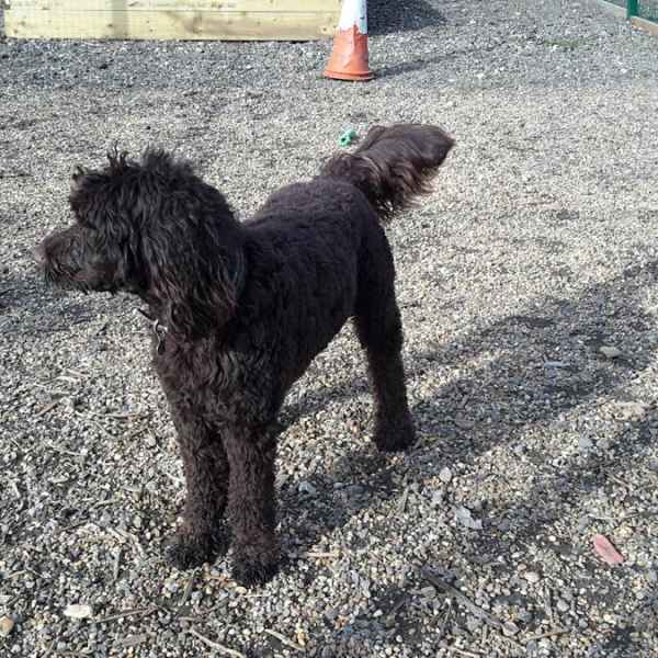 We make all our guests feel at home