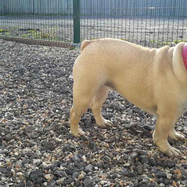 We make all our guests feel at home