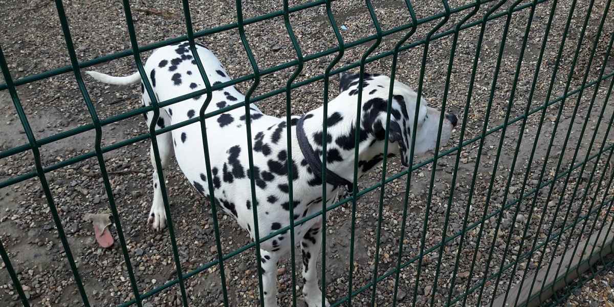 We make all our guests feel at home