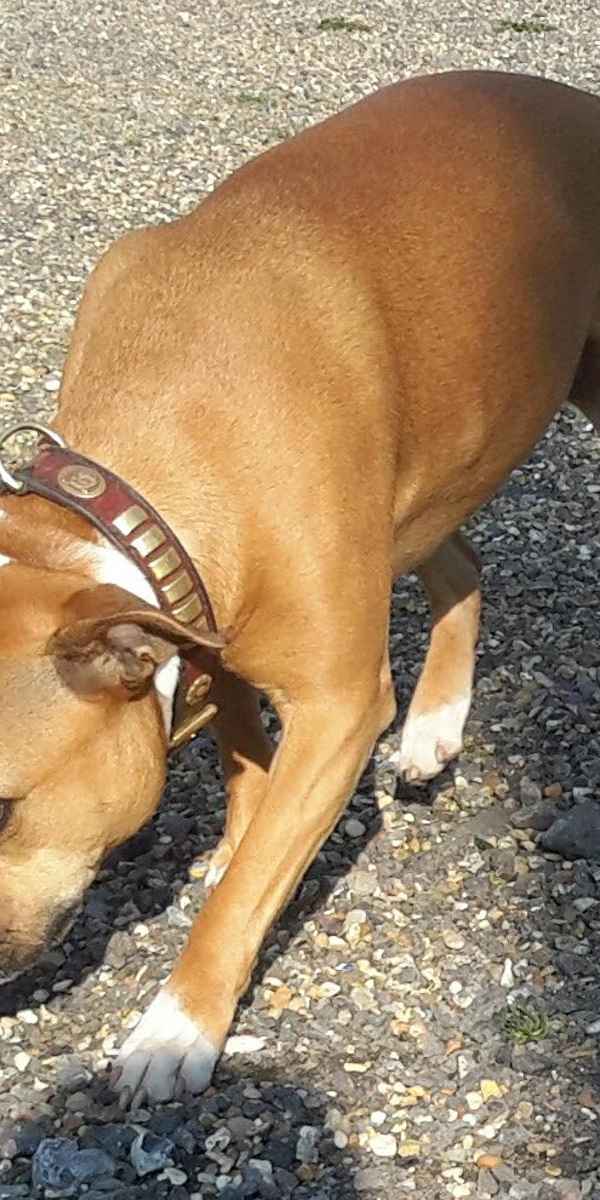 We make all our guests feel at home