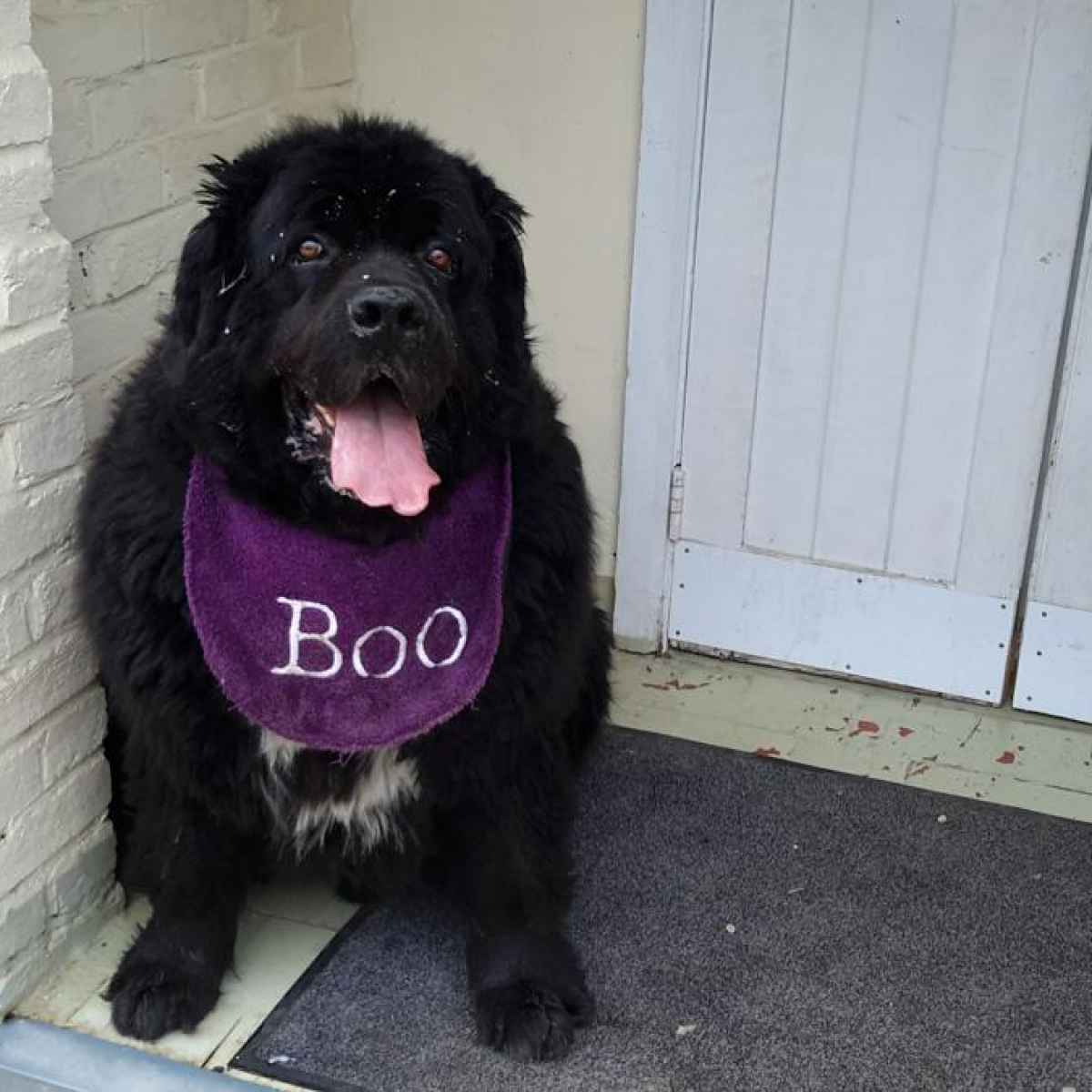 We make all our guests feel at home