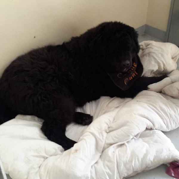 We make all our guests feel at home