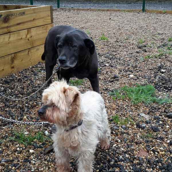 We make all our guests feel at home