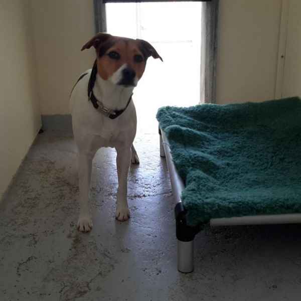 We make all our guests feel at home