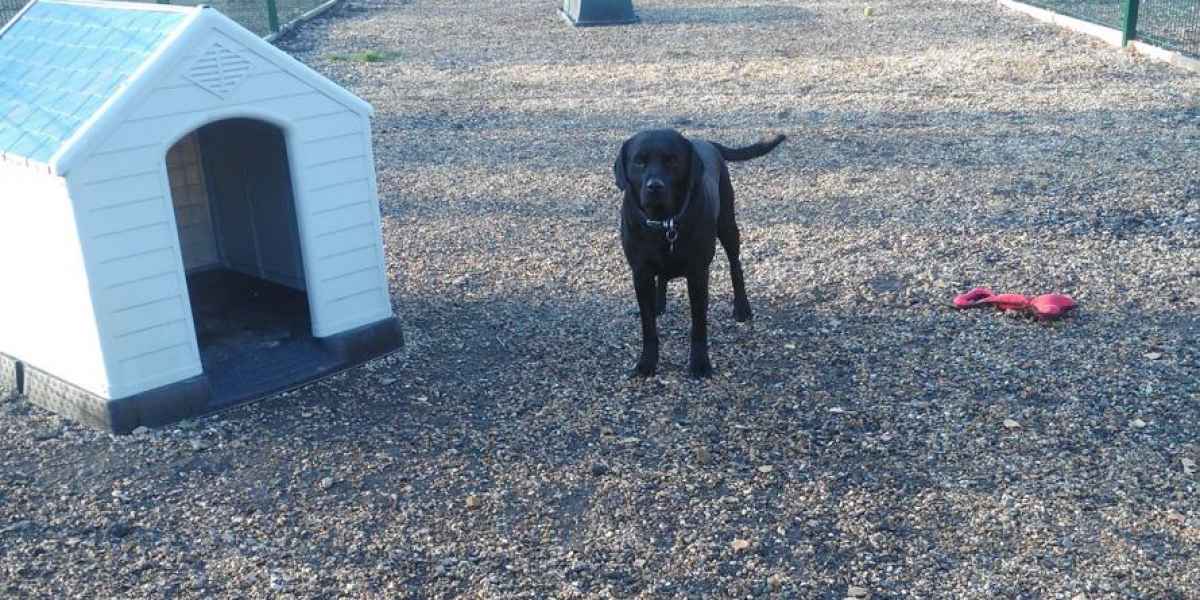 We make all our guests feel at home